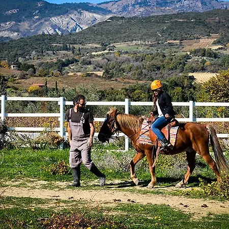 Ermis Katafigio בקתה *