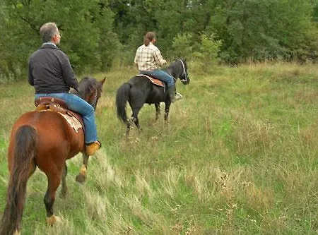 Ermis Katafigio בקתה *