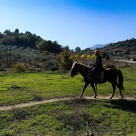 Καταφύγιο Ερμής *