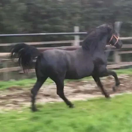 Ermis Katafigio בקתה *