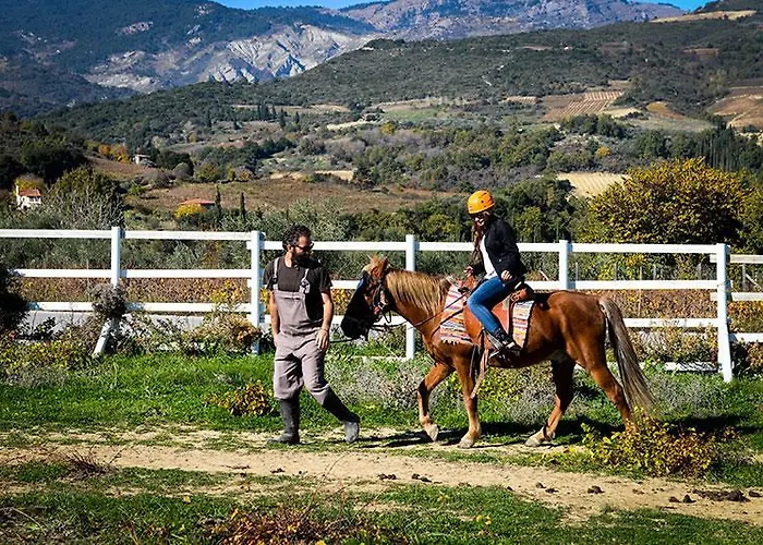 Ermis Katafigio Chalet *