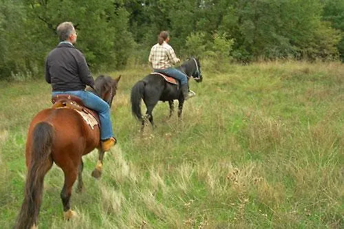 Ermis Katafigio Chalé *