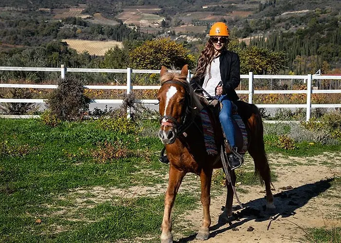 Ermis Katafigio * Ano Trikala