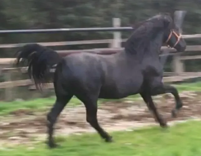 Ermis Katafigio Chalet *