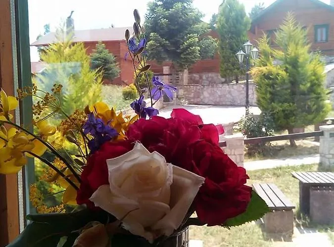 Chalet Ermis Katafigio